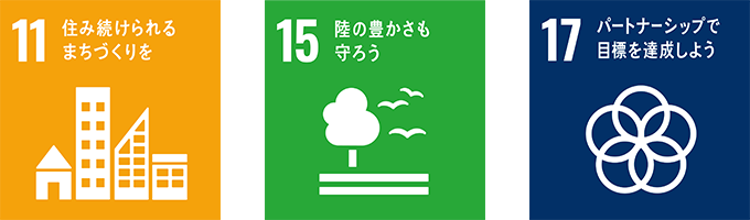 SDGs 11 15 17